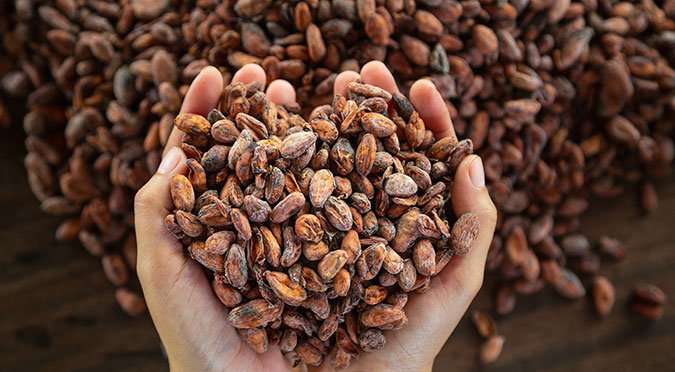 Cocoa Futures