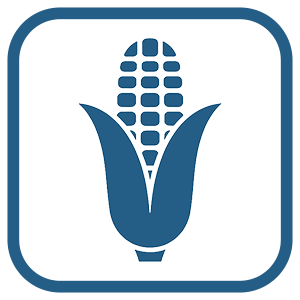 Corn futures trading icon