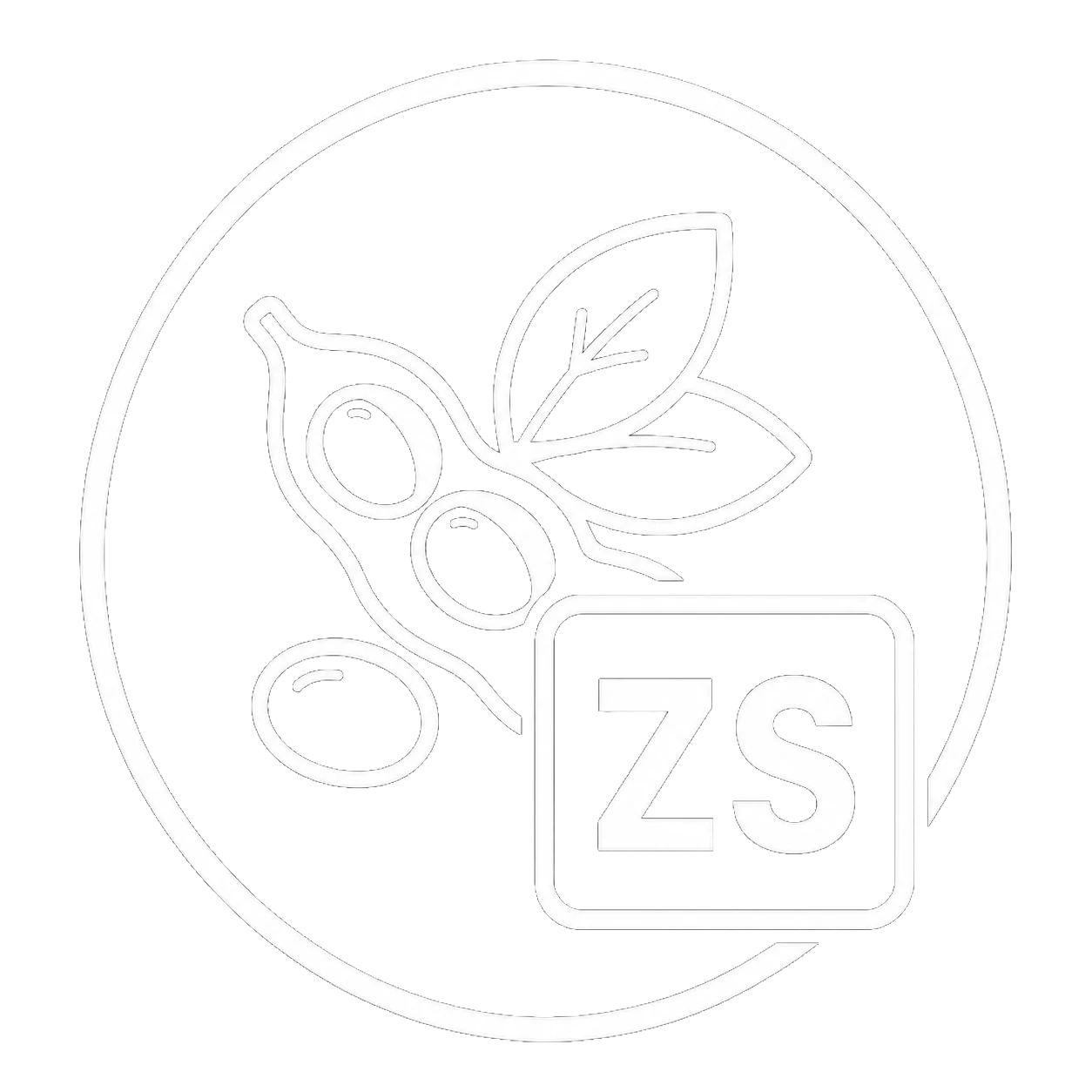 how-to-trade-ZS-futures How to trade ZS futures
